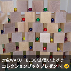 ΏWAKU-BLOCKグŃRNVubNv[g