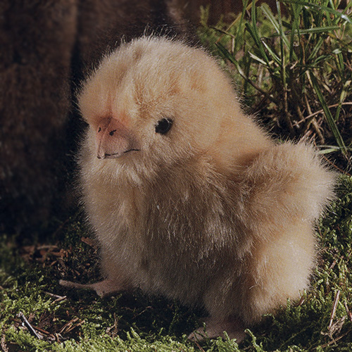 ケーセン ぬいぐるみ kosen 牝鶏 ニワトリ 14cm Hen, small(レ